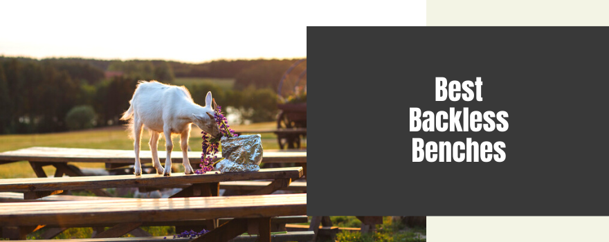 Best Outdoor Backless Benches: Stunning Top Sellers for your Garden - The Charming Bench Company