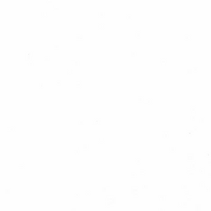 Mission Bed with Safety Rails