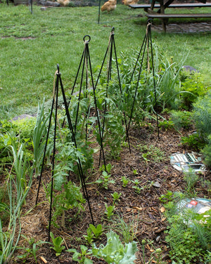 Container Trellis, pack of 2 Trellis