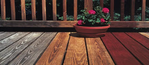 Sun Frog Outdoor Cleaner Paint And Stains