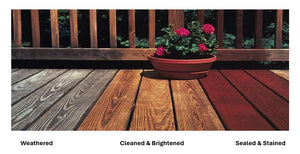 Sun Frog Deck Cleaner