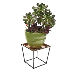 Arne Plant Stand Plant Stands