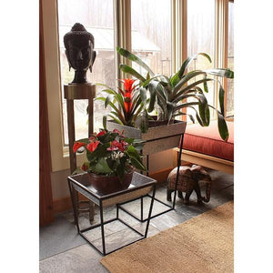 Arne Plant Stand Plant Stands