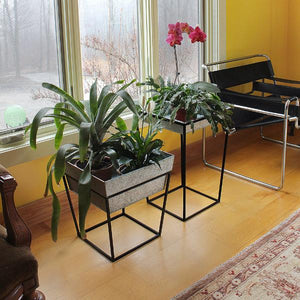 Arne Plant Stand Plant Stands
