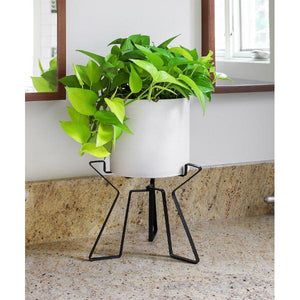 Florence Plant Stand Plant Stand