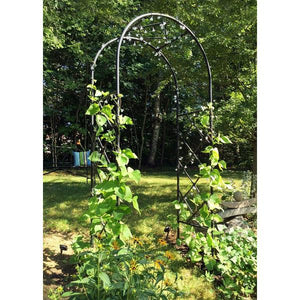 Lattice Arbor Arbor