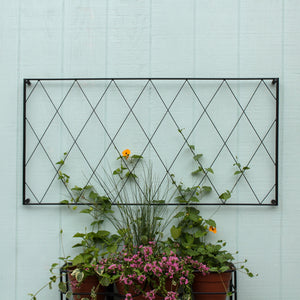 Oxfordshire Trellis Extension Trellis Extension