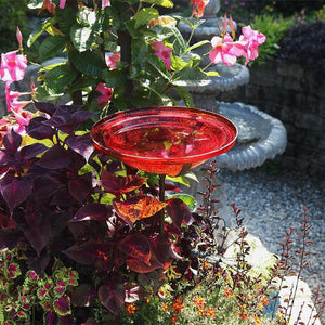 Red Crackle Glass Birdbath Bowl Birdbath Bowl