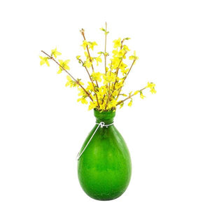 Rooting Vase Vase