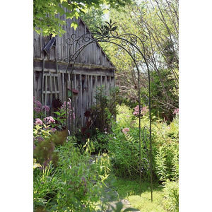 Tuileries Arbor Arbor