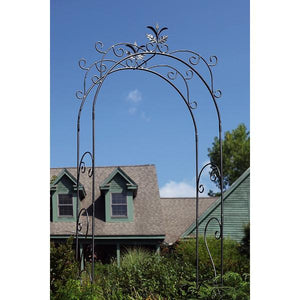 Tuileries Arbor Arbor