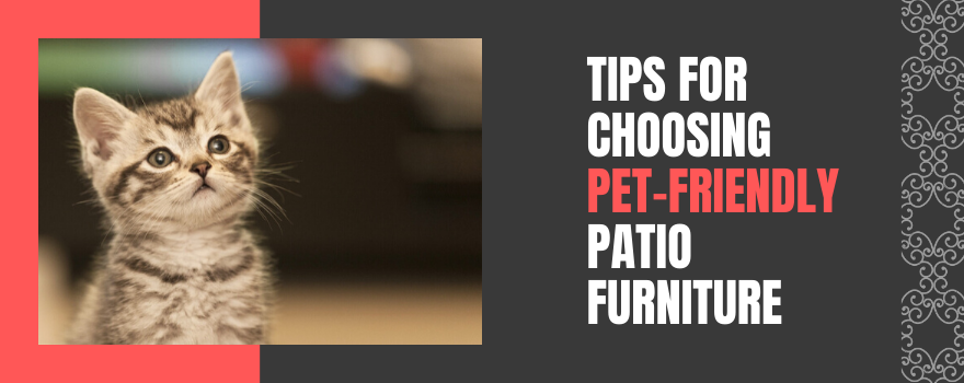 Tips for Choosing Pet-Friendly Patio Furniture - The Charming Bench Company