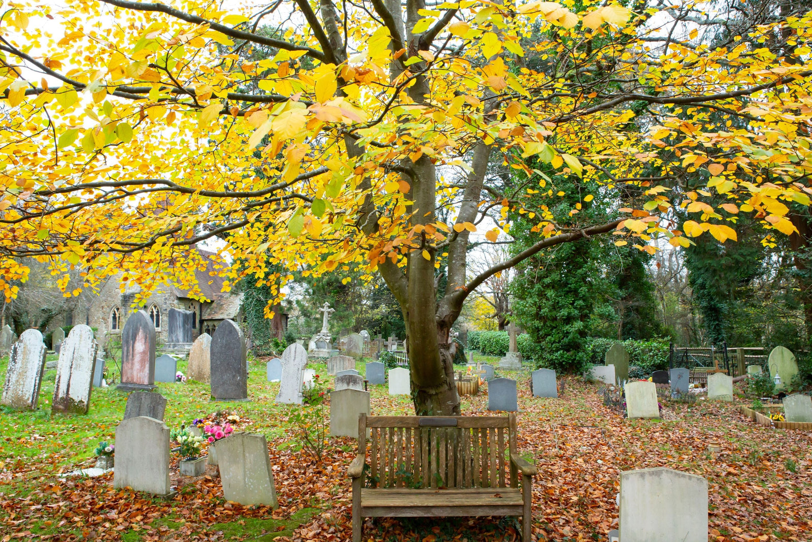 Memorial Benches vs. Other Tributes: Finding the Perfect Remembrance - The Charming Bench Company