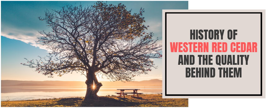 History Of Western Red Cedar And The Quality Behind Them - The Charming Bench Company