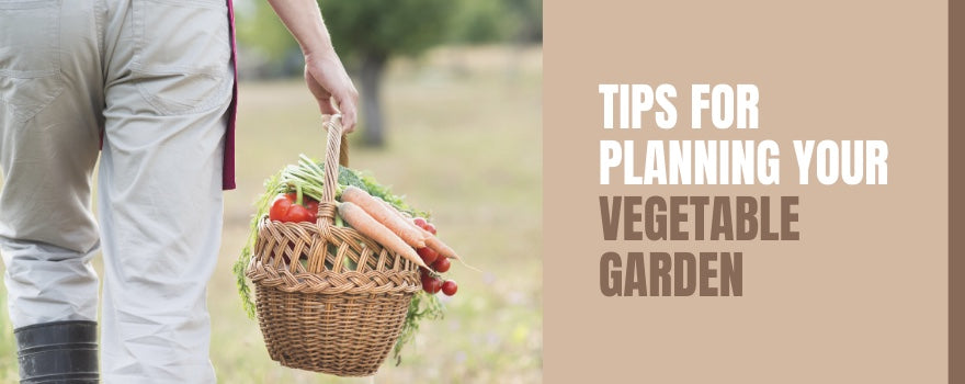 Tips For Planning Your Vegetable Garden - The Charming Bench Company
