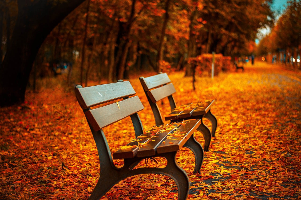 Wooden Memorial Benches for Gardens: A Timeless Tribute From Nature