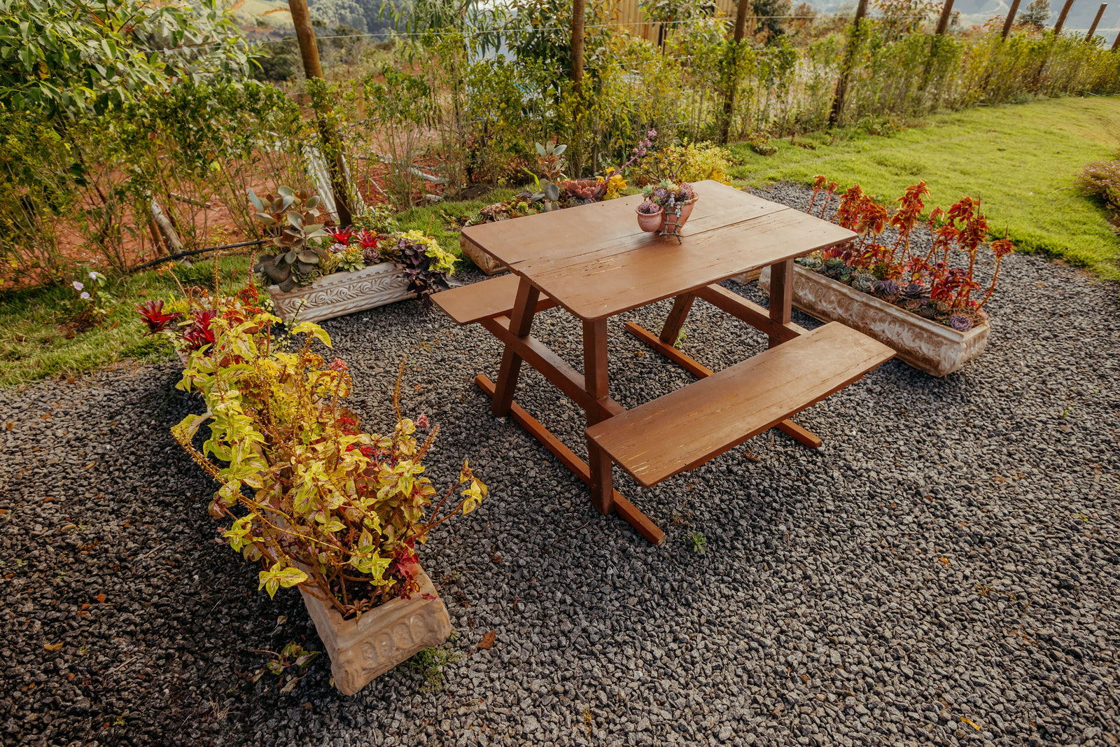 Green Patio Design: Create a Sustainable Outdoor Space That's Beautiful and Built to Last