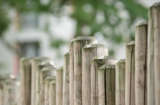 Fencing vs Hedges vs Walls: 3 Garden Boundary Options Compared - The Charming Bench Company
