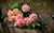 memorial bench personalized