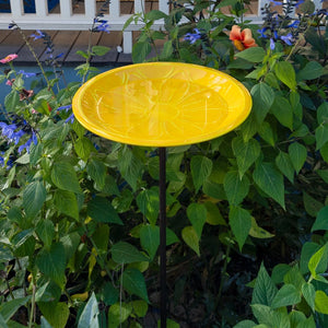 12" Lolly Embossed Birdbaths with Garden Stake Birdbath