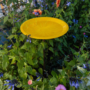 12" Lolly Embossed Birdbaths with Garden Stake Birdbath