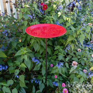 12" Lolly Embossed Birdbaths with Garden Stake Birdbath
