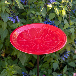 12" Lolly Embossed Birdbaths with Garden Stake Birdbath