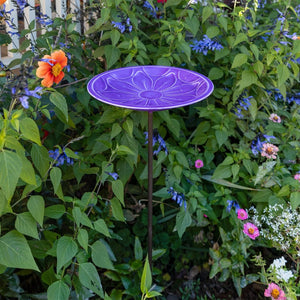 12" Lolly Embossed Birdbaths with Garden Stake Birdbath