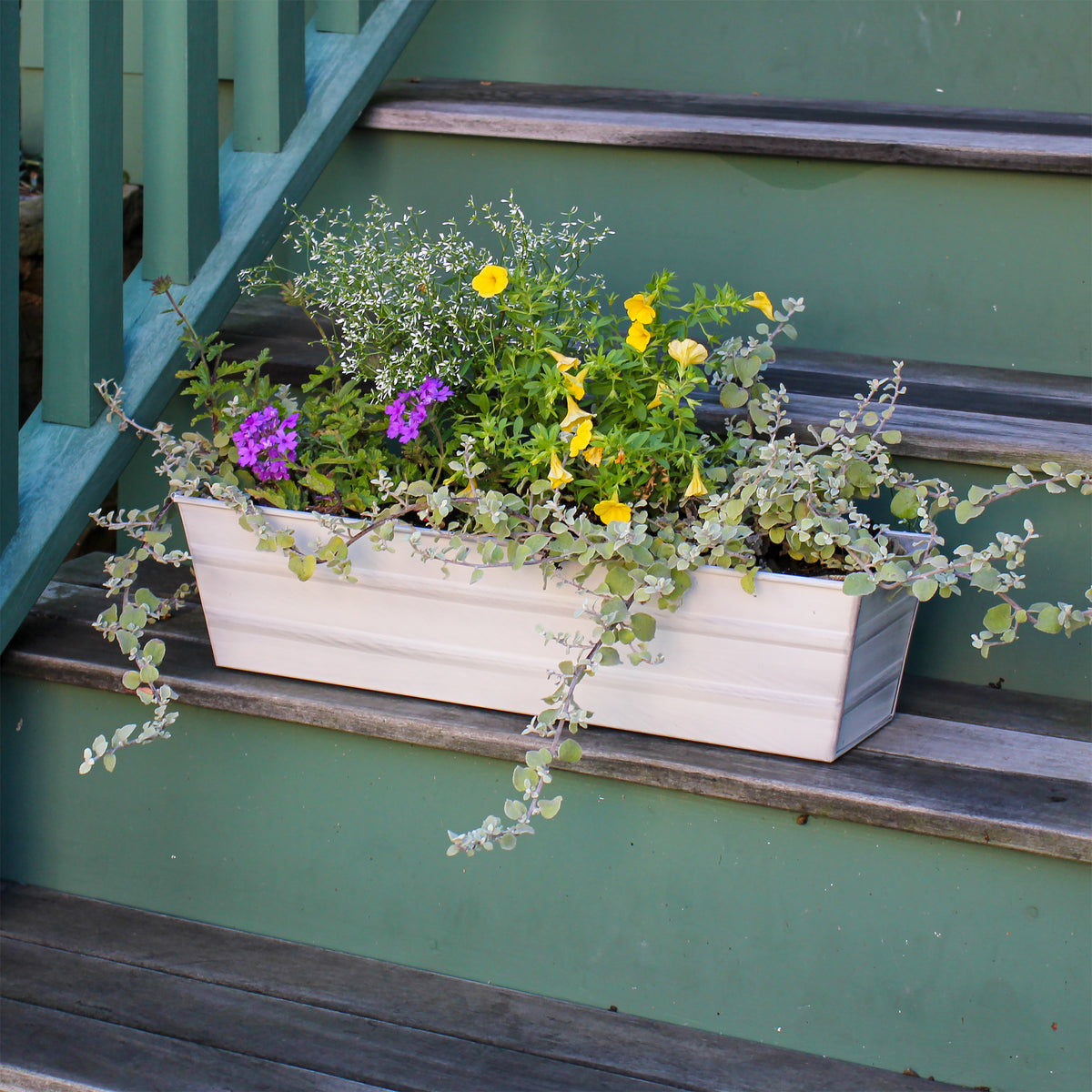 Bloom Box Garden Growing Kit