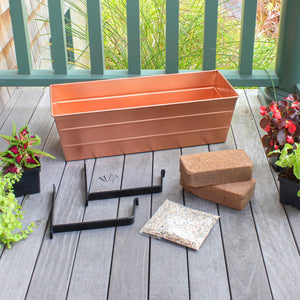 Bloom Box Garden Growing Kit with Wall Brackets