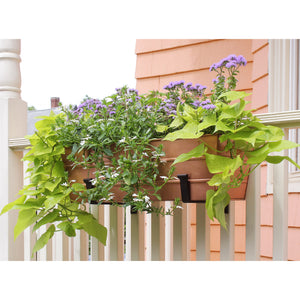 Bloom Box Garden Growing Kit with Wall Brackets