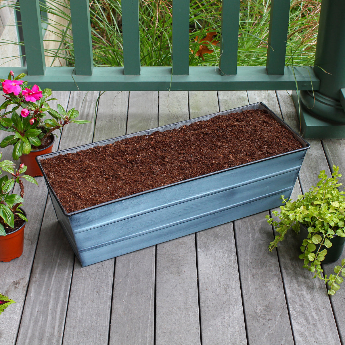 Bloom Box Garden Growing Kit, Medium Nantucket Blue