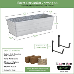 Bloom Box Garden Growing Kit with Wall Brackets