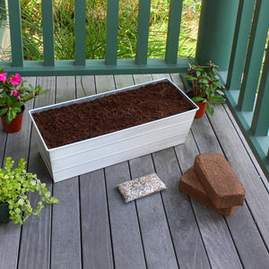 Bloom Box Garden Growing Kit with Wall Brackets