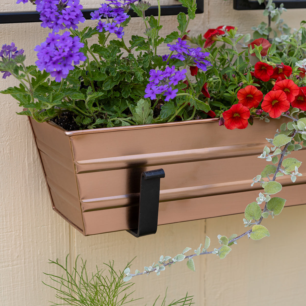 Bloom Box Garden Growing Kit with Wall Brackets