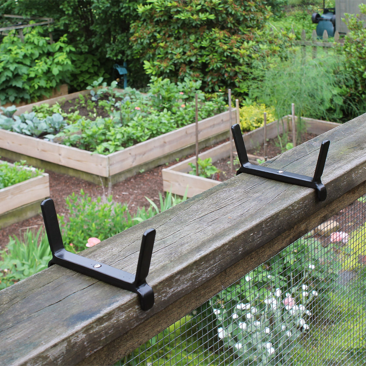 The Bloom Box Garden Growing Kits with Brackets for 2 x 6 Railings