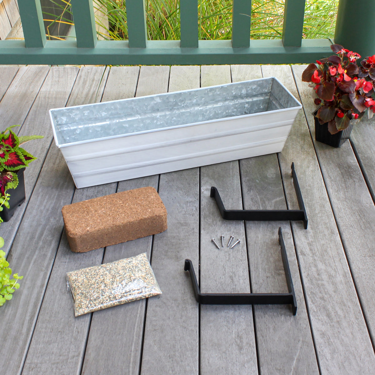 Bloom Box Garden Growing Kit with Wall Brackets