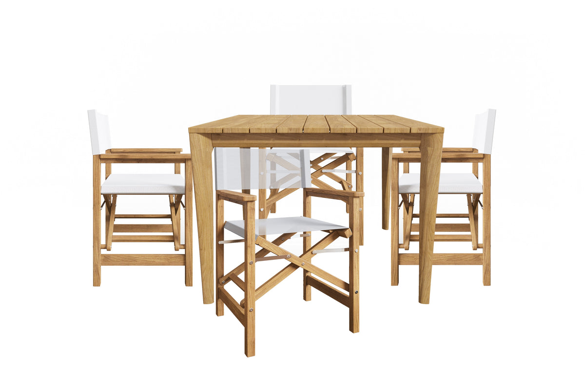 Cateline 5-Piece Square Teak Outdoor Dining Set in White with Folding Armchairs