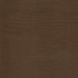 Mission Loft Bed with End Ladder