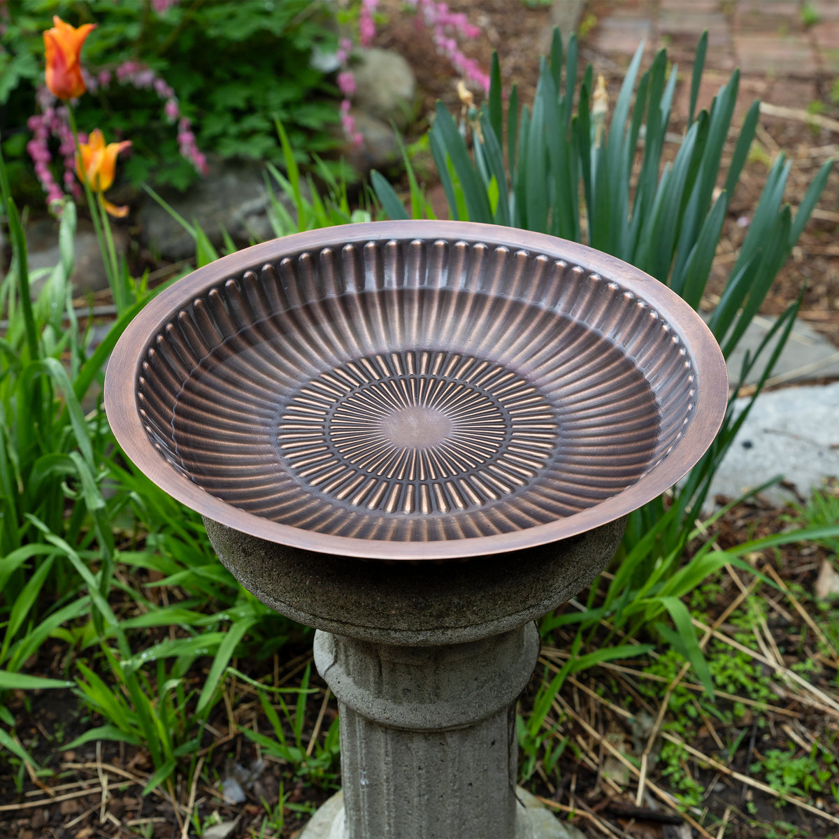 Aster Birdbath Birdbath Bowls