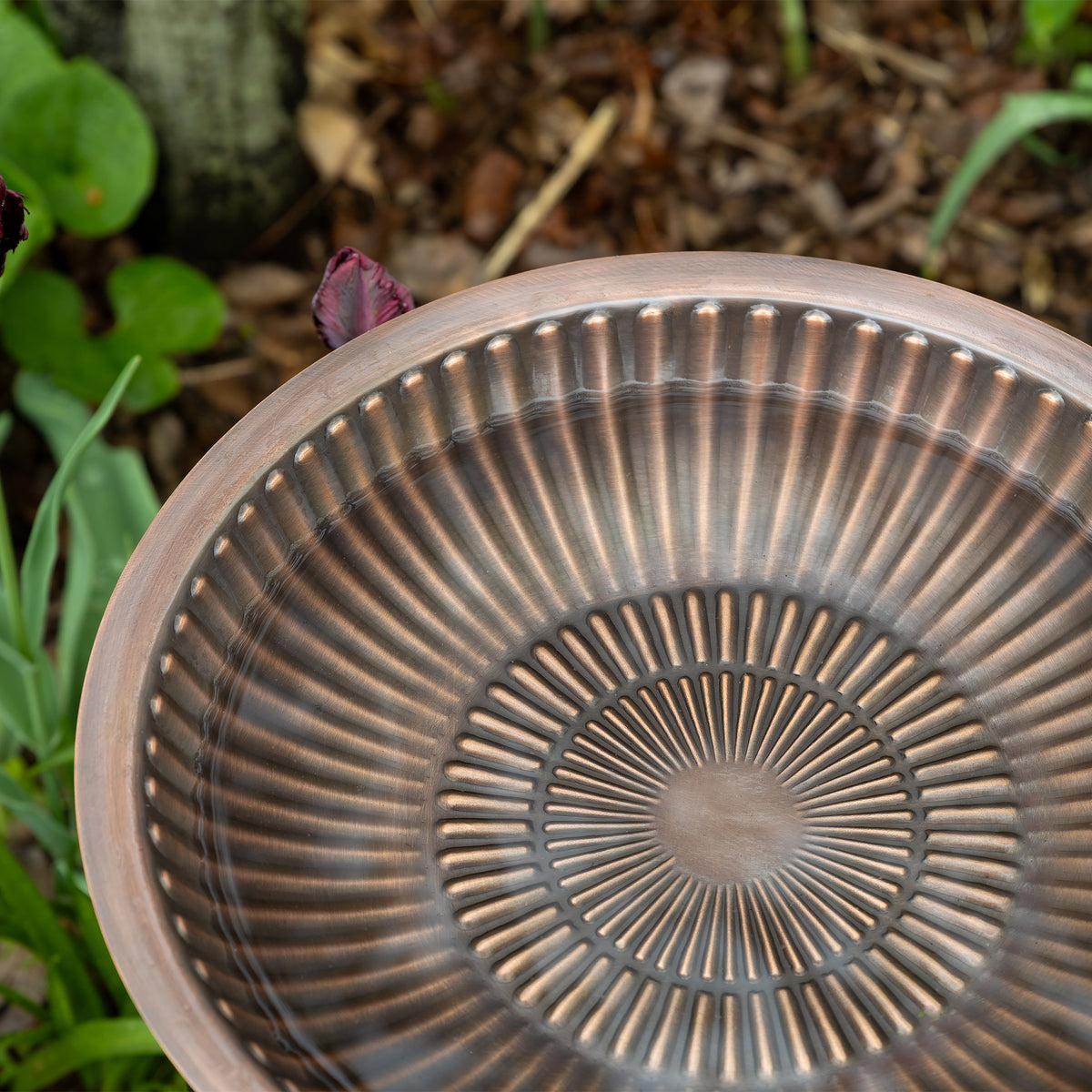 Aster Birdbath Birdbath Bowls