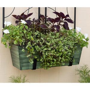 Bloom Box Garden Growing Kit, Medium Green with Wall Brackets Flower Box Brackets