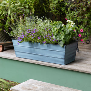 Bloom Box Garden Growing Kit, Medium Nantucket Blue Flower Box Brackets Blue