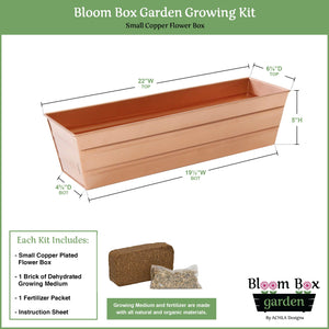 Bloom Box Garden Growing Kit, Small Copper by Achla Designs Flower Box Brackets