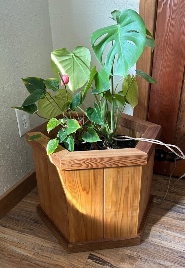 pot covers for indoor plants Wood Country, Cedar Pot Cover – Octagon Deck Planter