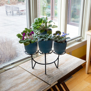 Frida Plant Stands by Achla Designs Flower Box Brackets