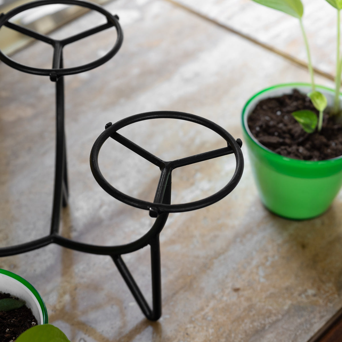 mini succulent stand Frida Plant Stands by Achla Designs - Purchase it Now