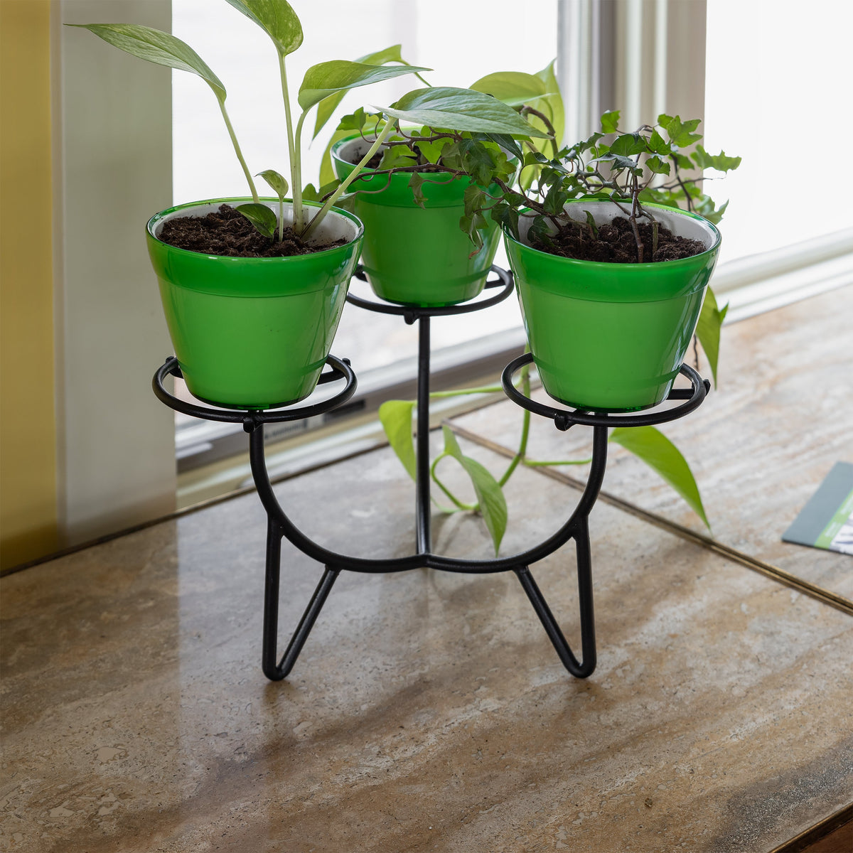 plant stand for small pots Frida Plant Stands by Achla Designs - Purchase it Now