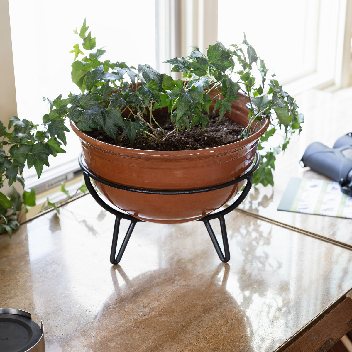 plant pot holder tray Achla Designs Frida Plant Stand IV