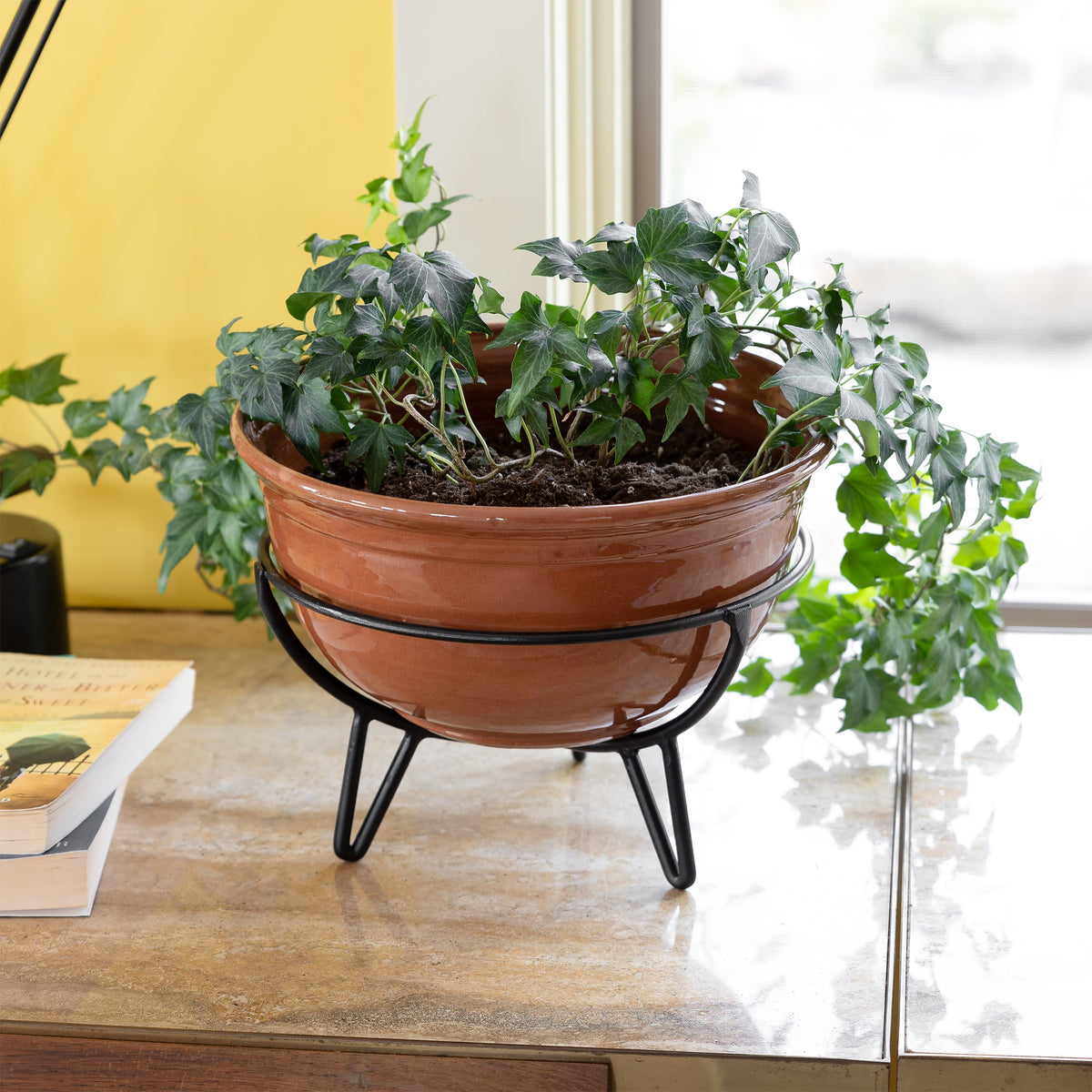 Frida Plant Stands by Achla Designs Flower Box Brackets